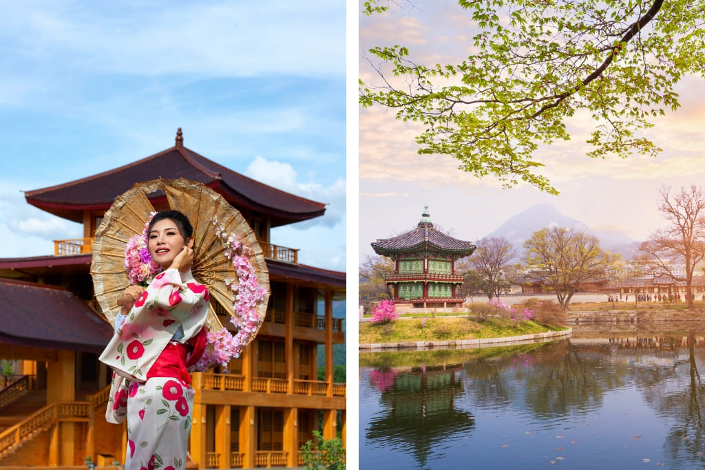 Uzak Doğu İncileri: Japonya & Güney Kore