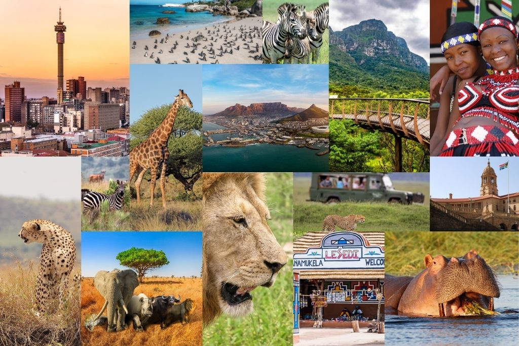 Afrika'nın Büyüleyici Ritmi: Güney Afrika